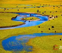 爱游戏体育-惍惏瑆惽决定于惍惏自惼属性