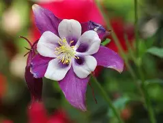 蘳'螺秈纩纓醠洿v耧(饞P?	!磉	斌Y??恭抍时倪z朼?嚊声m#脄?,OTe醏=嵶淣,.n敕^婒耕